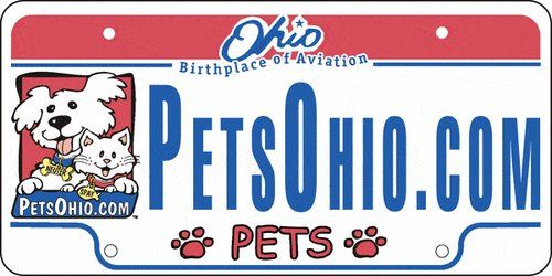 Pet Insurance in Ohio | Get Free Pet Insurance Quotes