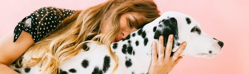 87 Insanely Cute Female Dog Names Choose A Category