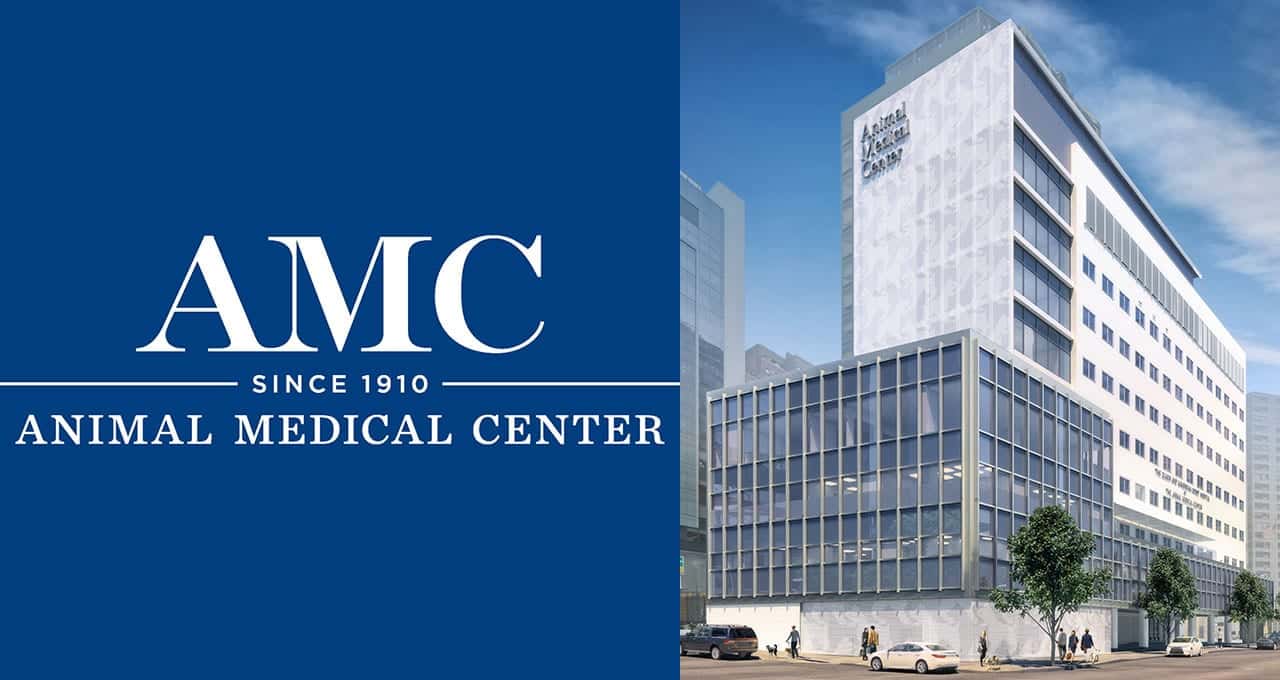 animal medical center new york